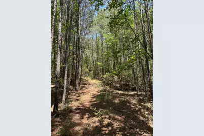 Tbd Pr 7261, Colmesneil, TX 75938 - Photo 16