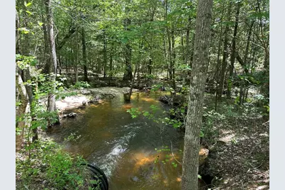 Tbd Pr 7261, Colmesneil, TX 75938 - Photo 6