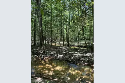 Tbd Pr 7261, Colmesneil, TX 75938 - Photo 10