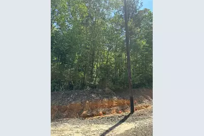 Tbd Pr 7261, Colmesneil, TX 75938 - Photo 36