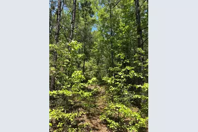 Tbd Pr 7261, Colmesneil, TX 75938 - Photo 4