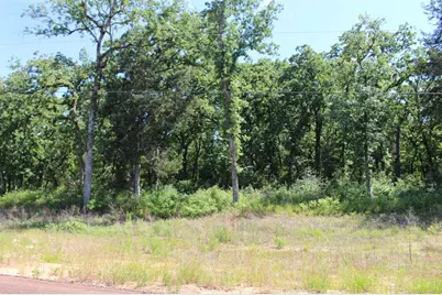 Tract 166 Private Road 1311, Centerville, TX 75833 - Photo 16