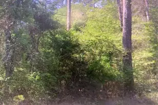 0 E Parkway Dr, Conroe, TX 77302 - Photo 6