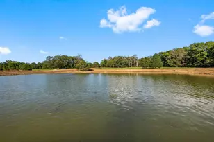 6069 Alans Memorial Ln, New Waverly, TX 77358 - Photo 4