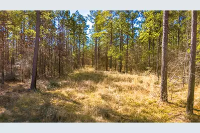 042 Sportsman Retreat Road Road, Onalaska, TX 77360 - Photo 6