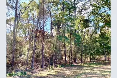 Tbd 38.3+/- Ac Cr 2310, Woodville, TX 75979 - Photo 2