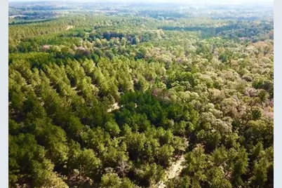 Tbd 38.3+/- Ac Cr 2310, Woodville, TX 75979 - Photo 14