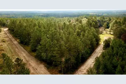 Tbd 38.3+/- Ac Cr 2310, Woodville, TX 75979 - Photo 30