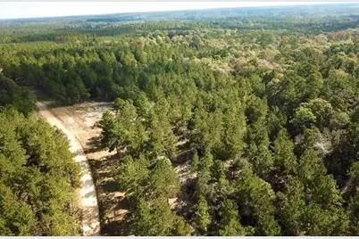 Tbd 38.3+/- Ac Cr 2310, Woodville, TX 75979 - Photo 4