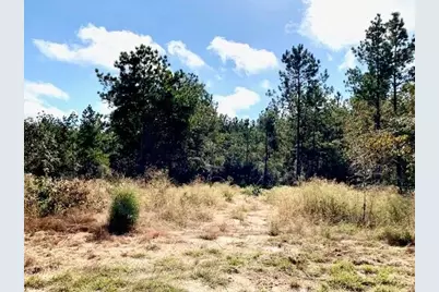 Tbd 38.3+/- Ac Cr 2310, Woodville, TX 75979 - Photo 38