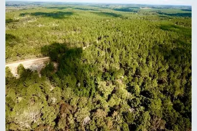 Tbd 38.3+/- Ac Cr 2310, Woodville, TX 75979 - Photo 16