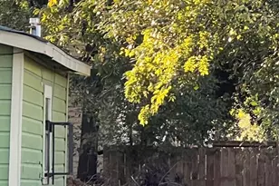 4305 Los Angeles St, Houston, TX 77026 - Photo 12