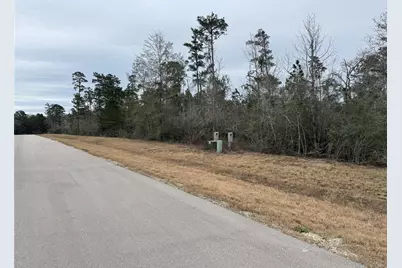 350 Iron Horse Road, Willis, TX 77378 - Photo 6