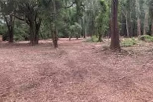 8819 Dowdell Rd, Tomball, TX 77375 - Photo 16