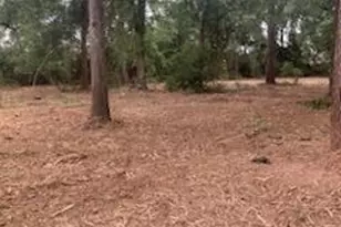 8819 Dowdell Rd, Tomball, TX 77375 - Photo 18