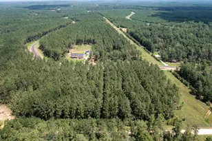 15291 Frst Grv Dr, Willis, TX 77378 - Photo 14