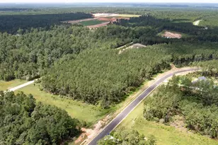 15291 Frst Grv Dr, Willis, TX 77378 - Photo 18