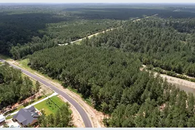 15291 Forest Grove Drive, Willis, TX 77378 - Photo 8