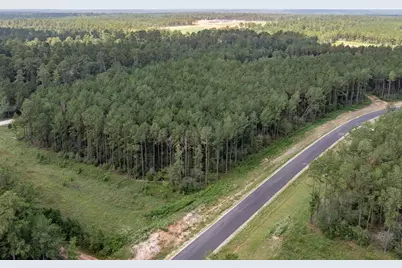 15291 Forest Grove Drive, Willis, TX 77378 - Photo 2