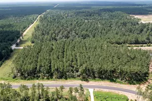 15291 Frst Grv Dr, Willis, TX 77378 - Photo 6