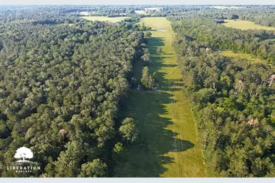 Tbd John Warren Road, Coldspring, TX 77331 - Photo 4