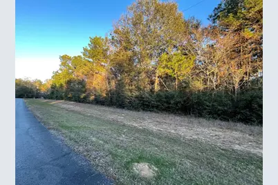 28921 Mustang Drive, Waller, TX 77484 - Photo 1