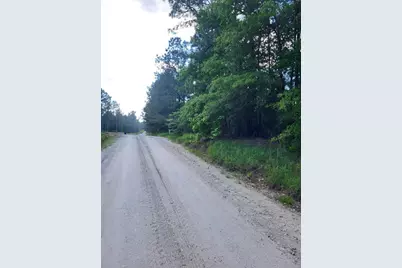 L46126 Reily Village, Corrigan, TX 75939 - Photo 6