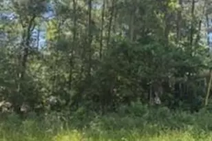 15829 Cottonwood Dr, Montgomery, TX 77356 - Photo 2