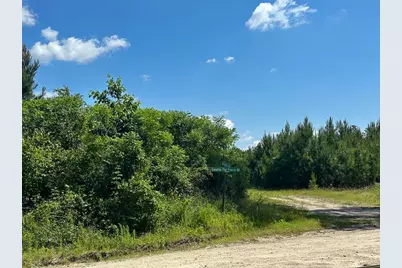 38 Groveton Flat Prairie Rd, Groveton, TX 75854 - Photo 6