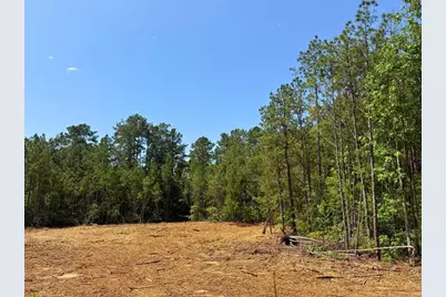 4 Camp Ruby Road, Livingston, TX 77351 - Photo 4