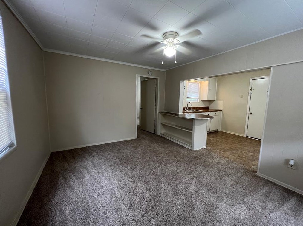 804 Old Ocean Ave, Sugar Valley, TX 77480