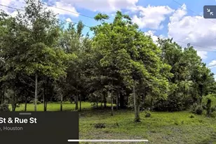 00 Rue St, Houston, TX 77033 - Photo 1