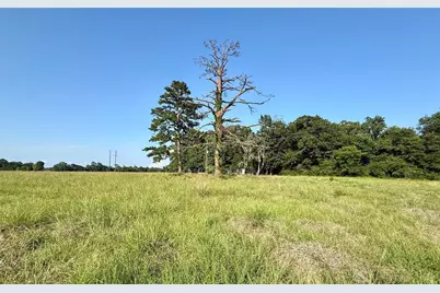 Tbd Hot Springs Drive, Trinity, TX 75862 - Photo 2