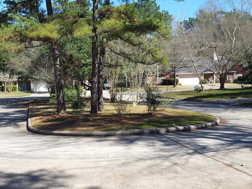 10 Treadwell Ct, Spring TX  77381-3289 exterior