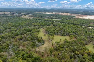 Tbd Lcr 700, Kosse, TX 76653 - Photo 12