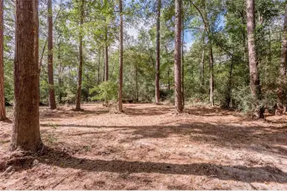 525 Canadian Drive, Trinity, TX 75862 - Photo 24