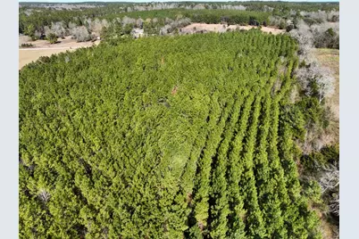 1 Kittrell Road, Oakhurst, TX 77359 - Photo 10