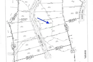 15738 Wooded Trl Wy, Willis, TX 77378 - Photo 4