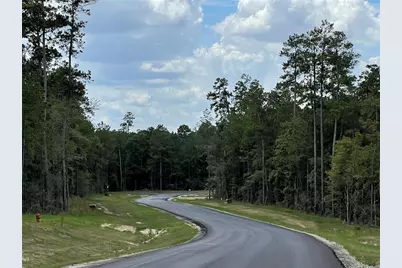 15738 Wooded Trail Way, Willis, TX 77378 - Photo 12