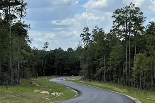 15738 Wooded Trl Wy, Willis, TX 77378 - Photo 12