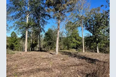 Tdb Lot 29 Addison Rd, Livingston, TX 77351 - Photo 4
