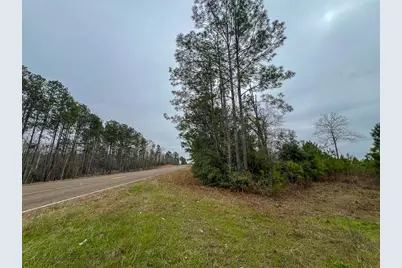 3 Fm 2626, Newton, TX 75966 - Photo 8