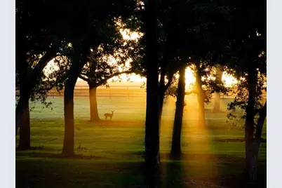 8321 Equestrian Lane, Washington, TX 77880 - Photo 4