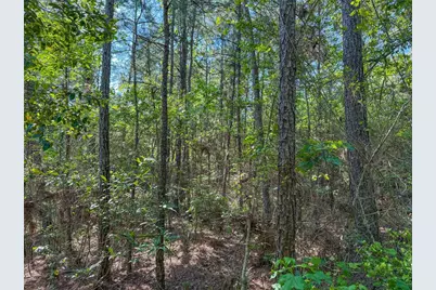 Tbd Hwy 69, Woodville, TX 75979 - Photo 16