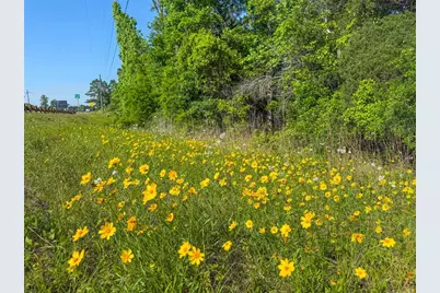 Tbd Hwy 69, Woodville, TX 75979 - Photo 22