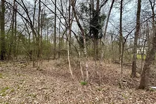 Tbd Bluebonnet Dr, Onalaska, TX 77360 - Photo 1