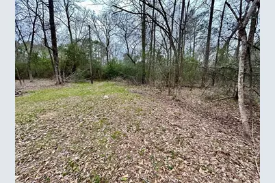 Tbd Bluebonnet Drive, Onalaska, TX 77360 - Photo 12