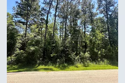 1815 Black Bear Drive, Houston, TX 77532 - Photo 2