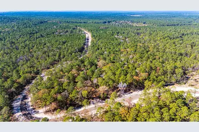 024 Magnolia Ranch Road, Onalaska, TX 77360 - Photo 8