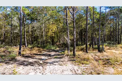 024 Magnolia Ranch Road, Onalaska, TX 77360 - Photo 4